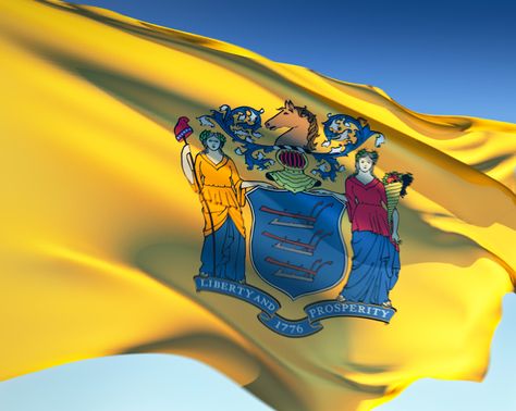 New Jersey Flag Jersey Flag, Moving To Florida, Delaware River, Usa States, Common Core State Standards, Three Star, Jersey Girl, All Things New, First Language