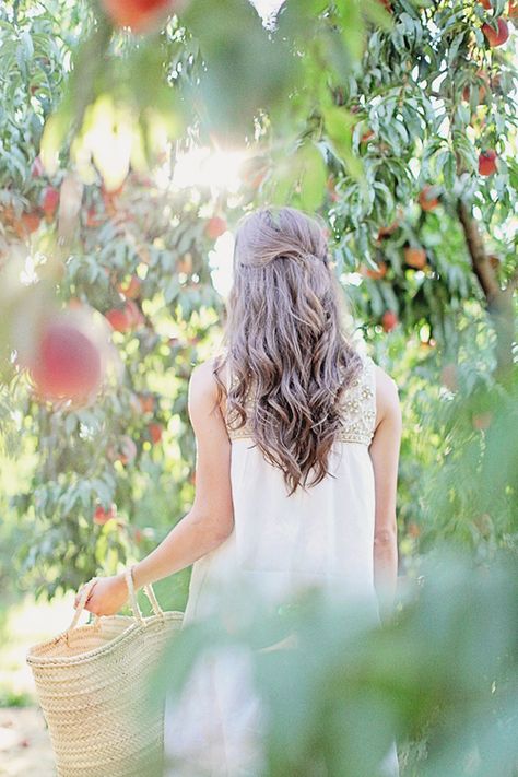 Fall Lake Wedding, Apple Orchard Photography, Apple Picking Photos, Apple Garden, Pretty Blonde Hair, Apple Picture, French Market Basket, Dreamy Whites, Market Basket