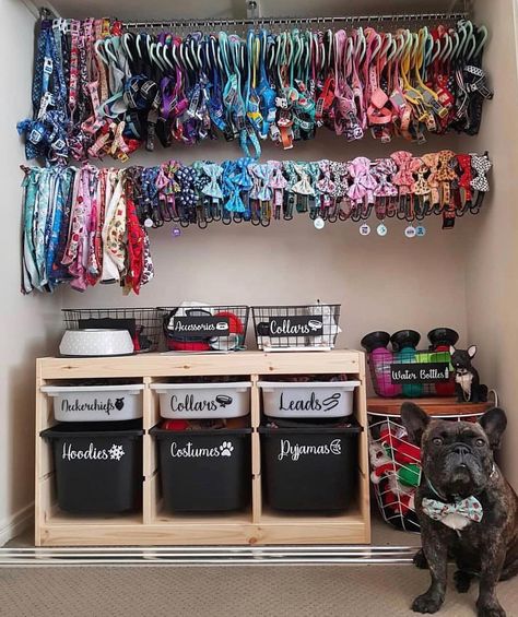 Dog Room Design, Dog Closet, Dog Room Decor, Dog Bedroom, Puppy Room, Dog Organization, Service Dogs Gear, Mom Things, Dog Spaces