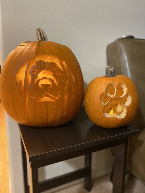 Labrador Pumpkin Carving, Lab Pumpkin Carving, Pumpkin Pumpkin Carving, 90s Fashion Outfits Hip Hop Party, Pumkin Carving, Pumpkin Carving Ideas, Pumpkin Pumpkin, Carving Ideas, Building Ideas