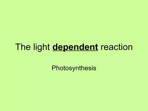 The light dependent reaction Light Dependent Reaction, Light Reaction, Electron Transport Chain, Visible Spectrum, Light Energy, Free Energy, Photosynthesis, Energy Level, The Light