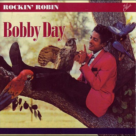 ‎Rockin' Robin by Bobby Day on Apple Music Rockin Robin, Frankie Valli, Bobby Darin, Pop Playlist, Street Fighter Art, Pop Hits, Calendar Girls, Wedding Songs, Guys Be Like