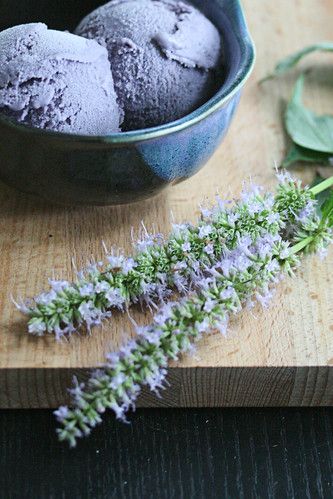 Blueberry Ice Cream Recipe, Anise Hyssop, Blueberry Lavender, Lavender Ice Cream, Blueberry Ice Cream, Lavender Recipes, Cold Treats, Ice Cream Popsicles, Milk Shakes