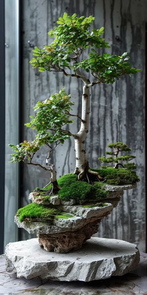 The image shows a beautiful bonsai tree. The tree is on a rock, and there is moss around it ->> more details in ai-img-gen.com Bonsai Tree Aesthetic, Bonsai On The Rock, Garden Bonsai Tree, Bonsai Pruning, Japanese Bonsai Tree, Bonsai Forest, Bonsai Tree Types, Bonsai Care, Beautiful Bonsai