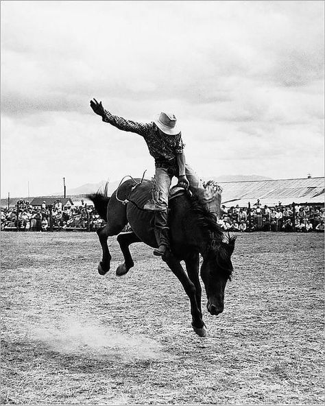 Rodeo Aesthetic, Cowboy Photography, Cowboy Aesthetic, Original Paintings For Sale, Cowgirl Aesthetic, Mcm Decor, Western Vintage, Western Aesthetic, Texas History