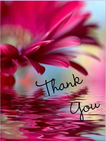 Simple Thank You Quotes, Thank You Quotes Gratitude, Thank You Messages Gratitude, Thank You Wallpaper, Thanks For Birthday Wishes, Thank You Card Images, Thank You For Birthday Wishes, Thank U Cards, Thank You Pictures