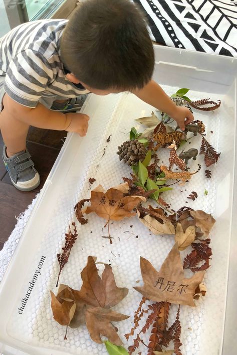 Leaf Sensory Bin, Sensorial Activities, Fun Activities For Preschoolers, Sensory Games, Tactile Learning, Toy Animals, Curriculum Planning, Sensory Bottles, Sorting Activities