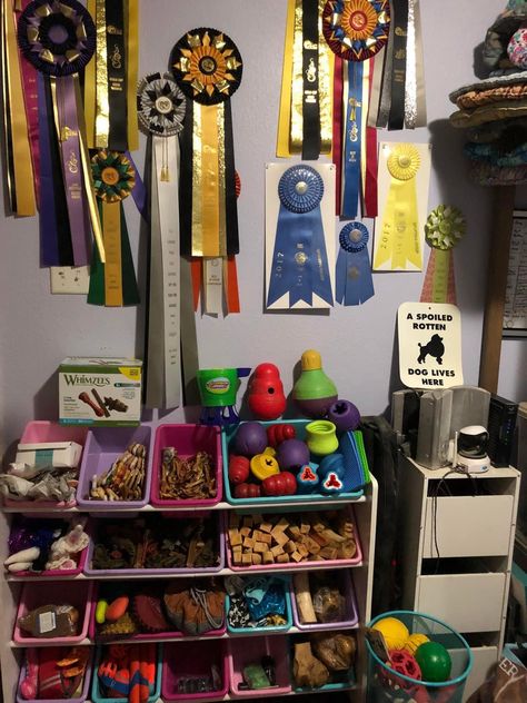 Dog Training Room Ideas, Service Dog Gear Wall, Dog Gear Wall, Dog Storage Ideas Organizations, Dog Gear Organization, Dog Gear Storage, Dog Training Room, Kennel Room, Dog Supplies Organization