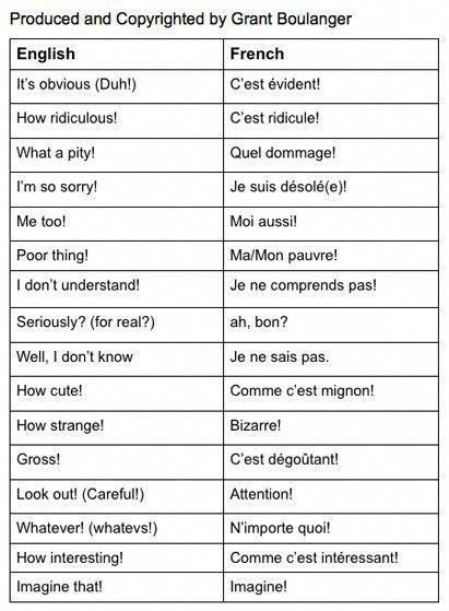 French Language Basics, French Posters, French Words Quotes, Useful French Phrases, Learning French For Kids, French Basics, French Flashcards, Basic French Words, French Language Lessons