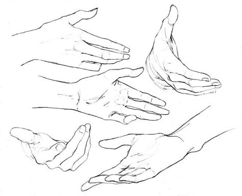 Hand Drawing Reference, Anatomy Sketches, Hand Reference, Sketches Tutorial, Anatomy Drawing, Hand Sketch, Body Drawing, Hand Holding, Anatomy Art