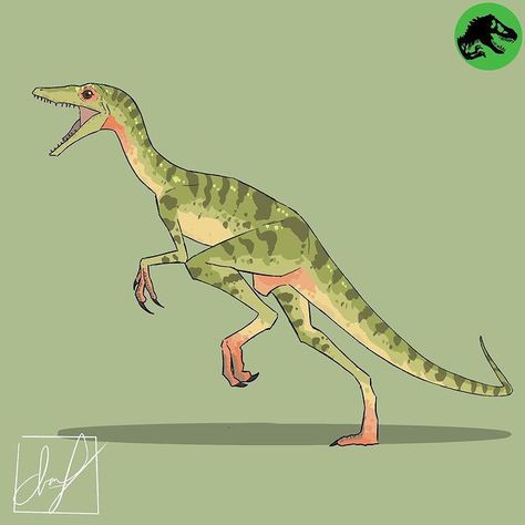 Compsognathus Drawing, Compy Dinosaur Art, Compy Dinosaur, Jurassic World Hybrid, Dinosaur Books, All Dinosaurs, Dinosaur Drawing, Jurassic World Fallen Kingdom, Jurassic World Dinosaurs