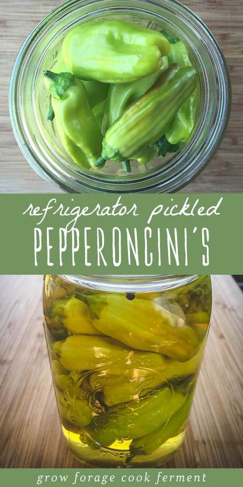 Refrigerator Pickle Relish, Pepperoncini Recipes Canning, How To Make Peppercinis, Peperoncini Pickled, Pickling Pepperoncini Peppers, Pickled Pepperocini Recipes, Canned Pepperoncini Peppers, Preserving Green Peppers, How To Can Pepperoncini Peppers