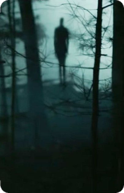 Slender Man, Slenderman, In The Woods, At Night, Trees, Forest