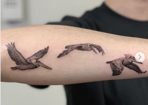 Tattoo Trio, Latte Art Tattoo, Pelican Tattoo, Tattoos Ideas For Men, Seagull Tattoo, Ocean Sleeve Tattoos, Goose Tattoo, Beachy Tattoos, Tattoo Catalog