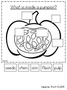 Cut and paste pumpkin parts! Pumpkin Abc Activities, Parts Of A Pumpkin Free Printable, Pumpkin Prek Activities, Pumpkin Crafts Kindergarten, Parts Of A Pumpkin Preschool, Pumpkin Projects For Kids, Pumpkin Preschool Crafts, Pumpkin Art Preschool, Pumpkin Preschool Activities