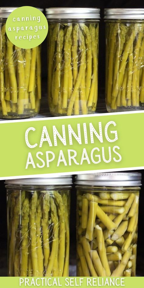 Pickling Asparagus, Canning Asparagus, Canned Asparagus, Pickle Vegetables, Canning Guide, Canning Corn, Pickled Asparagus, Easy Canning, Canning Peaches