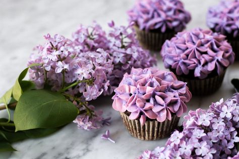 DIY Buttercream Hydrangeas Cupcakes with Lilac Hydrangea Cupcakes, Cupcakes Flores, Frosting Flowers, Spring Cupcakes, Mothers Day Cupcakes, Pink Food Coloring, Creative Cupcakes, Mothers Day Cake, Flower Cupcakes