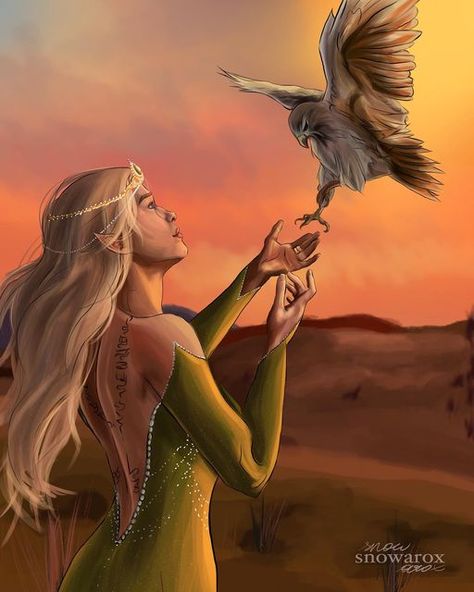 Queen Of Terrasen, The Court Of Dreams, Rowan And Aelin, Queen Of Shadows, Throne Of Glass Fanart, Aelin Ashryver Galathynius, Celaena Sardothien, Aelin Galathynius, Throne Of Glass Books