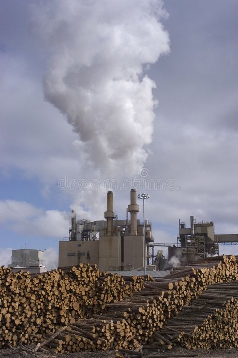 Paper Mill with Stacks of Trees to be processed. A paper mill with thousands of #Sponsored , #Sponsored, #Sponsored, #Mill, #Trees, #mill, #Stacks Lincoln Nh, Textile Mill, Cotton Mill, Paper Mill, Vector Graphics Design, Paper House, View Image, Willis Tower, Graphics Design