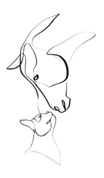 Horse And Cat Tattoo, Horse And Dog Tattoo, Horse And Dog, Horse Tattoo, Horses And Dogs, Dog Tattoo, Cat Tattoo, Tattoo Ideas, Horses