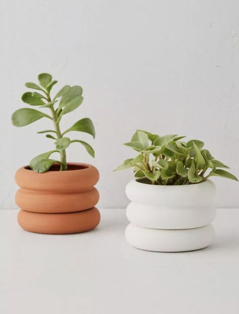 Clay Plant Pots, Aesthetic Plant, Clay Arts, Idea Box, Beginner Pottery, Pinch Bowls, Diy Air Dry Clay, Air Dry Clay Projects, Clay Planters