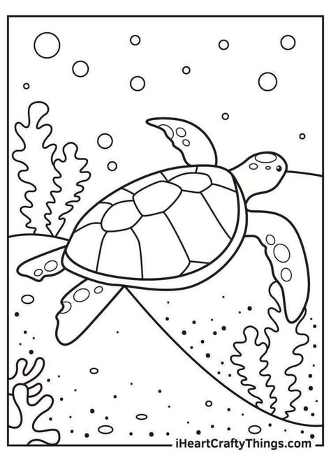 Sea Turtle Coloring Pages, Turtle Coloring, Turtle Coloring Pages, Summer Coloring Pages, Pokemon Coloring, Easy Coloring Pages, Art Drawings For Kids, Cute Coloring Pages, Free Printable Coloring