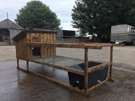 Duck Coop Ideas, Duck Enclosure, Chicken Pens, Duck Pen, Call Duck, Duck Ideas, Duck Pens, Duck Pin, Duck Stuff