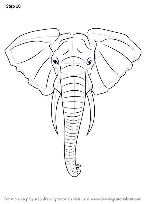 Learn How to Draw an Elephant Head (Zoo Animals) Step by Step : Drawing Tutorials Elephant Head Drawing, Draw An Elephant, Elephant Face, Drawing Hands, Elephant Drawing, Big Animals, Elephant Painting, Elephant Head, Elephant Art