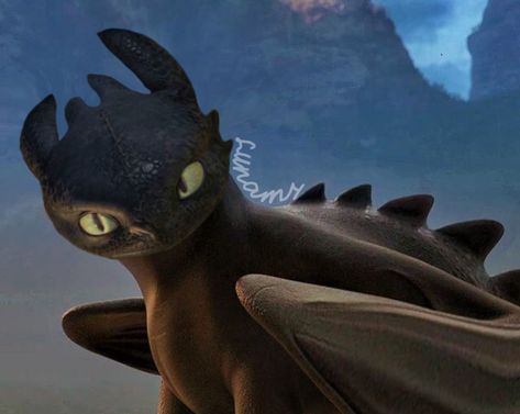 Wild Night Fury, Train Dragon, Httyd Art, Httyd 3, Wild Night, Httyd Dragons, Cute Snake, Dragon Trainer, Night Fury