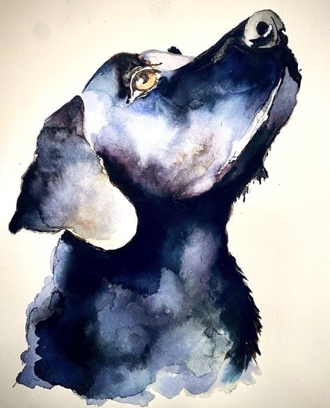 Black Dog Watercolor, Black Lab Watercolor, Watercolor Labrador, Watercolour Dogs, Painting Clipart, Dogs Watercolor, Dogs Painting, Dog Watercolor Painting, Royal Pet Portrait