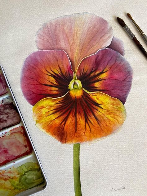 Pansy Watercolor Paintings, Pansy Watercolor, Watercolor Pansies, Give And Receive, A Place For Everything, Watercolour Inspiration, Art Folder, Watercolor Flower Art, Watercolor Painting Techniques