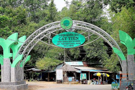 An adventure to Cat Tien National Park, also Cat Tien Biosphere Reserve is for those who are seeking something natural, wild, and peaceful to experience. Cat Tien National Park, Vietnam Guide, Vietnam Tour, Endangered Plants, Vietnam Travel Guide, Vietnam Tours, Tropical Forest, Wild Nature, Vietnam Travel