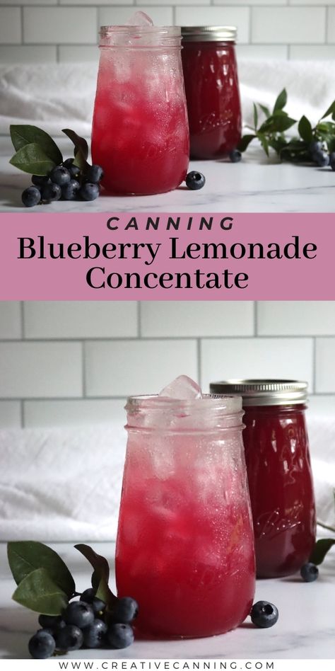 Canning Blueberry Lemonade Concentrate Blueberry Canning, Fruit In Jars, Simple Canning, Lemonade Concentrate Recipe, Canning Fruit Recipes, Canning Apple Pie Filling, Preserving Fruit, Blueberry Water, Blueberry Jelly