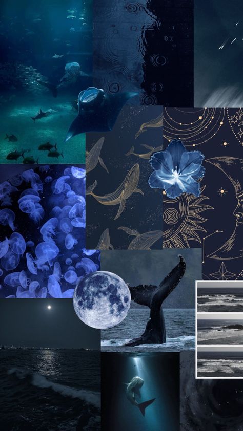 deep ocean aesthetic 🌊🐋 #ocean #deepsea #aesthetic #navyblue #night Ocean Prince Aesthetic, Dark Nautical Decor, Deep Ocean Aesthetic, Ocean Room, Aesthetic Ocean, Ocean Aesthetic, Deep Ocean, Room Aesthetic, Bedroom Inspo