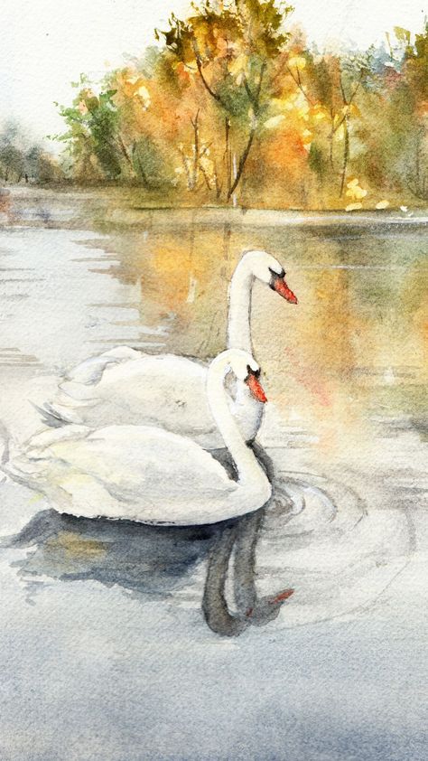 Original watercolor painting by Taya Zaikina Swan Watercolor, Swan Artwork, Swan Drawing, Swan Painting, Nature Sketch, Bath Art, Watercolor Sketch, Bird Drawings, Water Painting