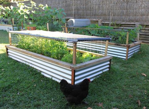 Inexpensive Raised Bed Ideas | Ozarks Gardening Made Easy with Raised Beds! (How-To) Making Raised Garden Beds, Metal Garden Beds, Beds Ideas, Raised Garden Bed Plans, Raised Bed Garden Design, Building Raised Garden Beds, Vegetable Garden Raised Beds, Garden Layout Vegetable, Building A Raised Garden