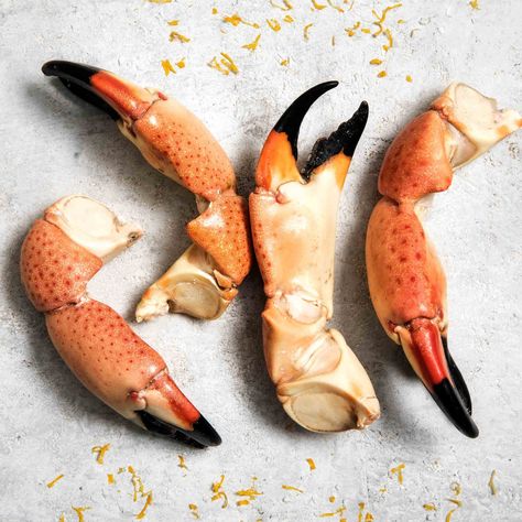 Crab Claw Tattoo, Oddities Cabinet, Crab Pincers, Stone Crab Claws, Claw Tattoo, Crab Illustration, Stone Crab, Crab Claw, Crab Art