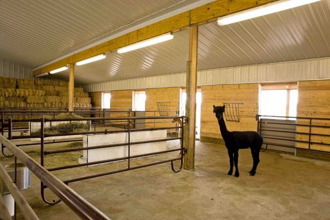 Horse Sanctuary, Raising Livestock, Equestrian Building, Cattle Barn, Post Frame Construction, Houses Exterior, Life Plans, Morton Building, Paddock Paradise