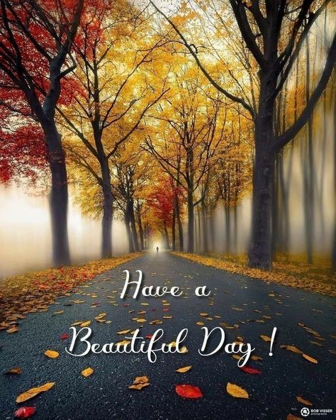 Good Morning Fall Images, Good Morning Fall, Gud Morning Images, Good Morning Animals, Good Morning Massage, Inspirational Good Morning Messages, Fall Pics, Good Morning Thursday, Quote Images