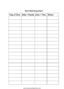 Bird Watching Worksheet - Homeschool Helper Online Nature Worksheets, Science Lapbooks, Bird Watching Journal, Lapbook Templates, Science Unit Studies, Lap Book Templates, Human Body Projects, Planner Journal Ideas, Notebooking Pages