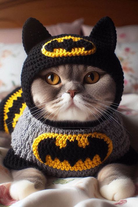 Create a crochet Batman costume for cats with our detailed DIY guide. Perfect for turning your feline into a superhero! Costume For Cats, Crochet Batman, Pet Crochet, Batman Cat, Batman Mask, Batman Costume, Crochet Dog Patterns, Cat Crochet, Crochet Frog