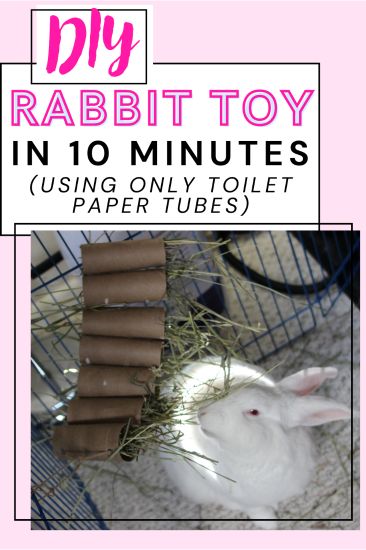 Learn how to craft an engaging hanging toy for your rabbit using just toilet paper rolls with our easy step-by-step guide | easy rabbit toys diy | rabbit enrichment toys diy Rabbit Enrichment, Toilet Paper Tubes, Pet Rabbit Care, Rabbit Hay, Bunny Lady, Bunny Room, Pet Bunny Rabbits, Paper Towel Tubes, Toilet Paper Tube