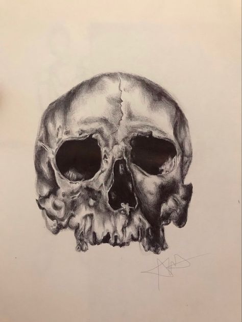 Gcse Art Coursework, Mark Powell, Art Coursework, Biro Drawing, Biro Art, Tulip Drawing, Day Of The Dead Art, Research Images, Skull Drawing