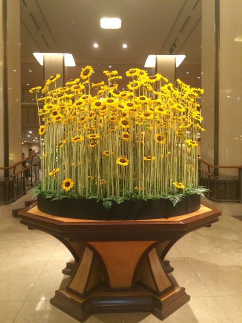 Sunflowers at lobby Hotel Flower Arrangements, Modern Floral Arrangements, Hotel Flowers, Large Flower Arrangements, Corporate Flowers, Tafel Decor, Church Flower Arrangements, Creative Flower Arrangements, Flower Installation