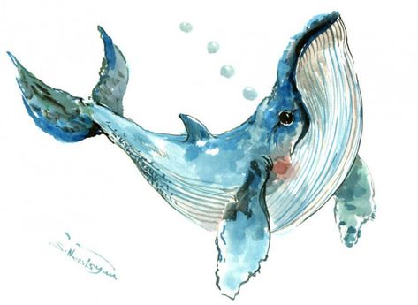 Humpback Whale 12 x 9 in original watercolor painting sea world sea animals beach by ORIGINALONLY on Etsy #gouachepainting #gouache #painting #sea Whale Artwork, Blue Whales, Watercolor Whale, Whale Design, Whale Art, Humpback Whale, Blue Whale, Narwhal, In The Ocean