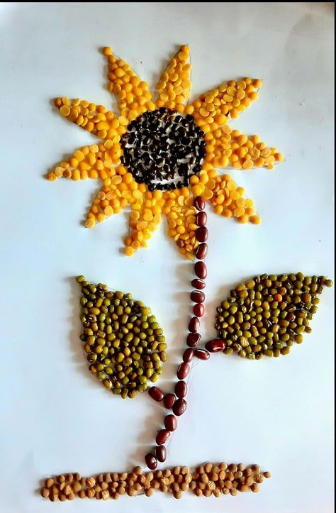 Used pulses Pulses Craft For Kids, Collage Work For Kids, Pulses Art, Seed Art For Kids, Seed Crafts For Kids, Seed Mosaic, Easy Summer Crafts, Seed Craft, Spring Flower Crafts