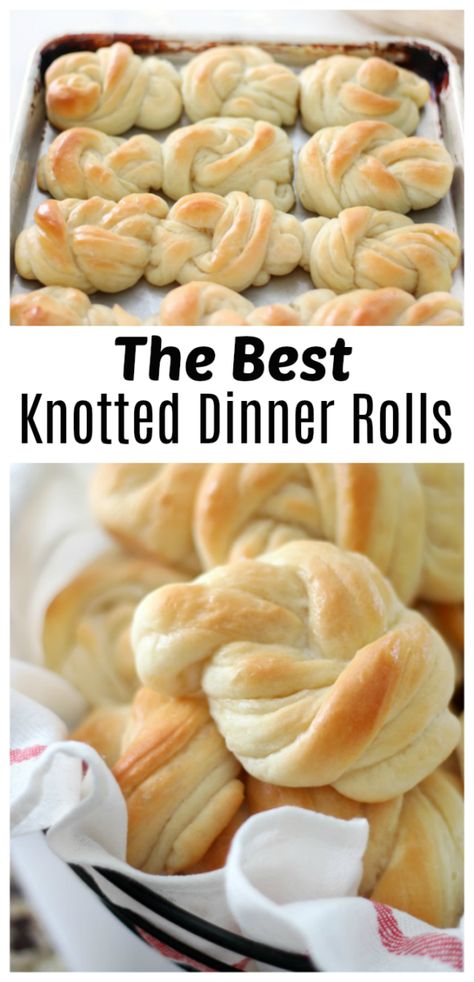 Knot Rolls, Homemade Exfoliator, Best Yeast Rolls, Honey Dinner, Turkey Rolls, Thanksgiving Rolls, Sweet Dinner Rolls, Modern Honey, Bread Winners