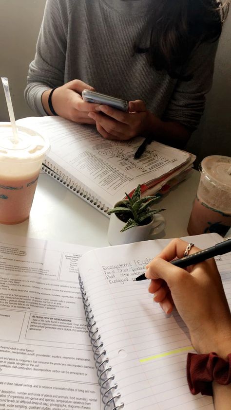 study buddy Teacher Cap, Back To Uni, Feeling Alive, College Vision Board, Coffee Aesthetics, Study Buddy, Study Mode, Little Miss Perfect, College Motivation