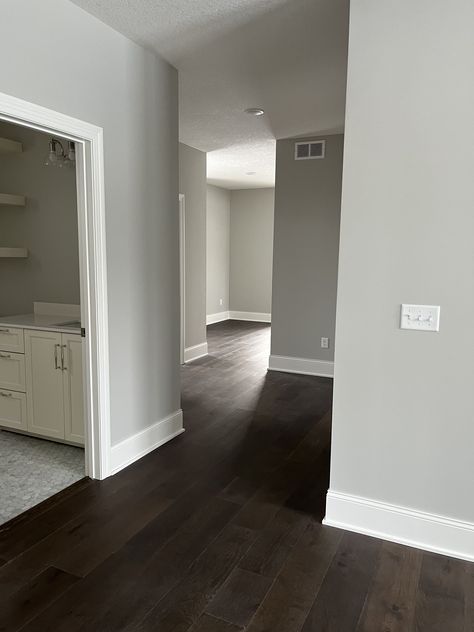 Grey Walls Light Floors, Dark Floors Gray Walls, Room Ideas Hardwood Floor, Brown Floor Grey Walls, Dark Flooring Living Room Ideas, House Color Ideas Interior Inspiration, Grey Tone Home Interior, Apartment Flooring Ideas, Dark Floor House