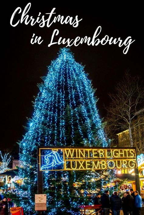 The Luxembourg Christmas market is full of things to get you in the Christmas spirit. See the lights of Luxembourg City, shop, and try traditional food. Luxembourg Christmas, Luxembourg Travel, Christmas Trips, Germany Cologne, Christmas Travel Destinations, Luxembourg City, European Christmas, Christmas Destinations, Travel Christmas